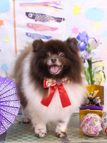 20240524太郎くん